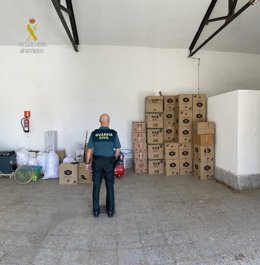 Un agente de la Guardia Civil en la nave usada para almacenar y fabricar tabaco de manera clandestina en Villaverde del Río, en Sevilla.