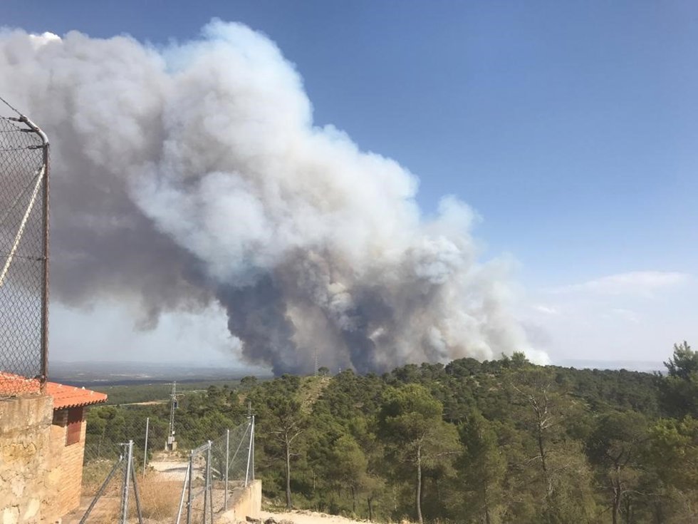 La UPV coordina el mayor proyecto de investigación europeo para mejorar la gestión forestal sostenible