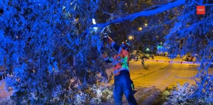 Arbol caído por fuertes rachas de viento en la Comunidad de Madrid