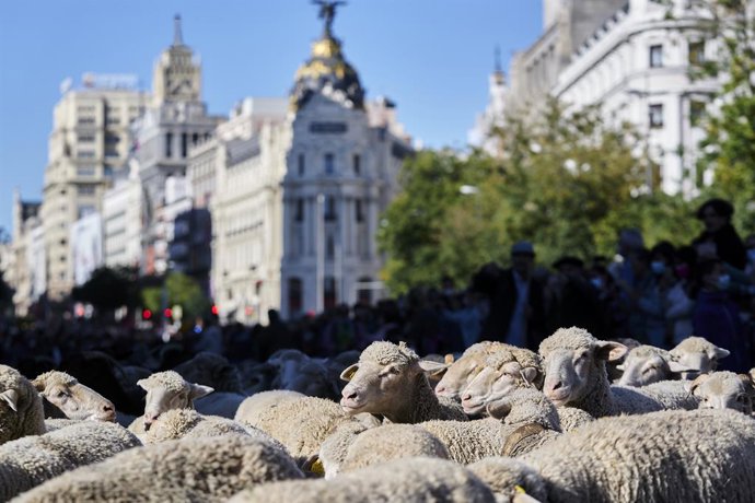 Vídeo de la noticia