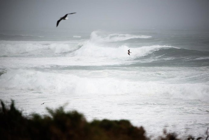 Dos gaviotas sobrevuelan el oleaje en la zona de Santa Maria de Oia hasta Cabo Silleiro, a 20 de octubre de 2022, en Pontevedra