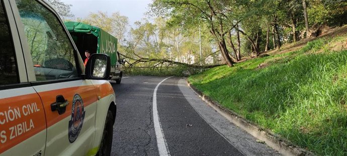 Arbol caído sobre la carretera en la trasera de la Finca Munoa en Barakaldo
