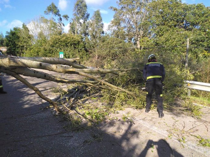 Bomberos del 112 retiran un árbol en Villafufre