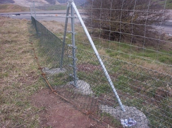 Archivo - Cerramiento en una carretera de cantabria para evitar atropellos de fauna