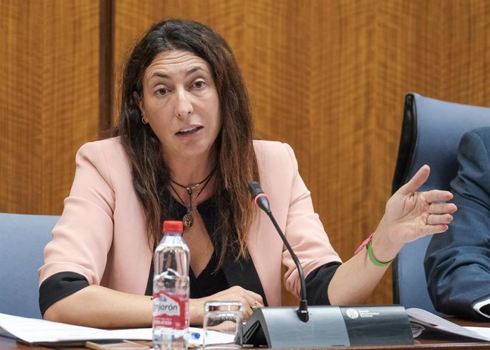 La consejera de Inclusión Social, Juventud, Familias e Igualdad, Loles López, en comisión parlamentaria.