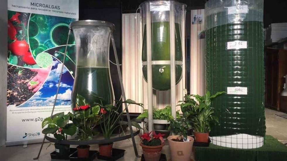 Siete startups andaluzas buscan soluciones en la lucha contra el cambio climático.