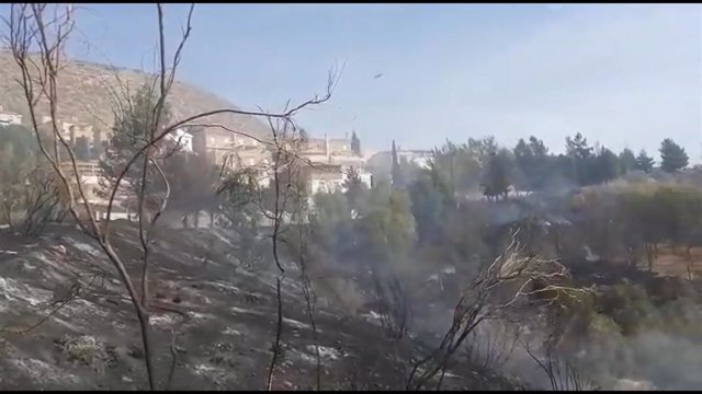 Zona afectada por un incendio en Cenes de la Vega (Granada).
