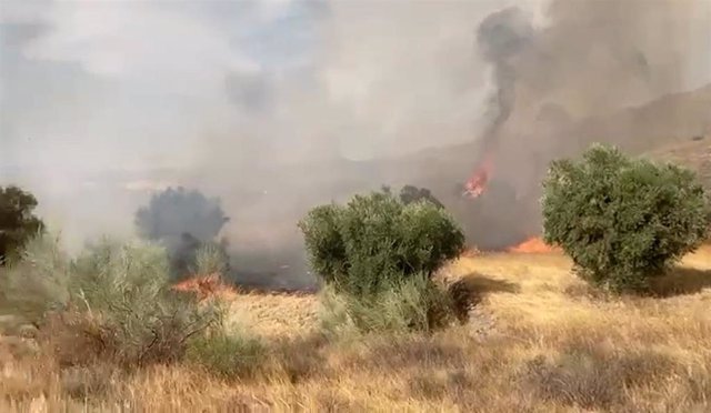 Archivo - El fuego calcina matorral en el incendio declarado en Uleila del Campo (Almería)