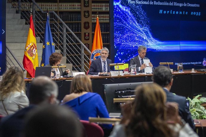 El ministro del Interior, Fernando Grande-Marlaska, ha presidido este lunes el V Pleno del Consejo Nacional de Protección Civil.