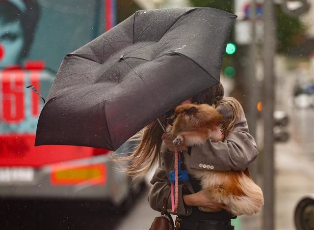 Una mujer con un perro intenta controlar y protegerse con un paraguas