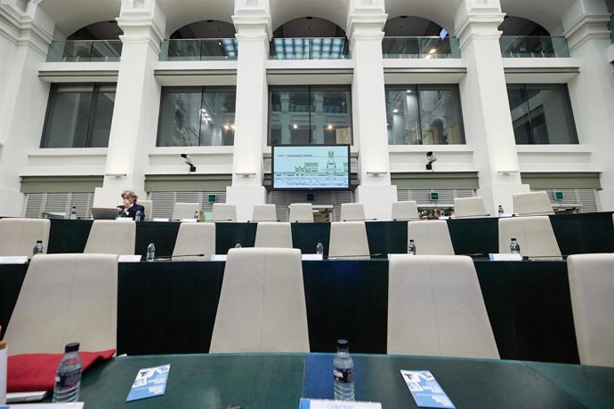Vista de una sesión ordinaria del Pleno Municipal, en el Palacio de Cibeles.