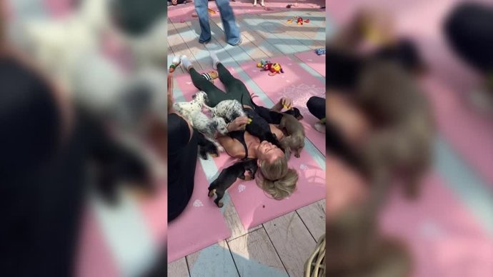 La terapia con cachorros que ha dejado sorprendidas a las redes sociales