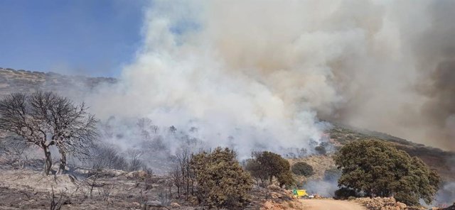 Incendio en Sierra de Gádor, en el término municipal de Dalías (Almería).