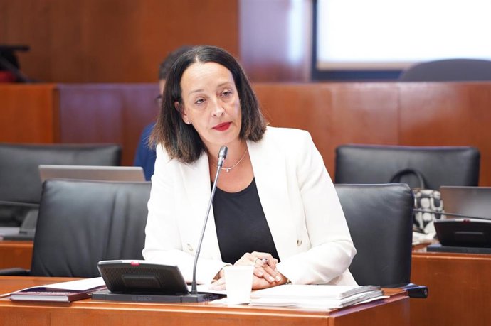 La diputada portavoz de Hacienda del PP en las Cortes de Aragón, Carmen Susín.