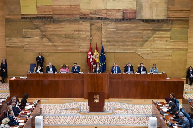 La presidenta de la Asamblea de Madrid, Eugenia Carballedo, preside el pleno en la Asamblea de Madrid. Archivo.