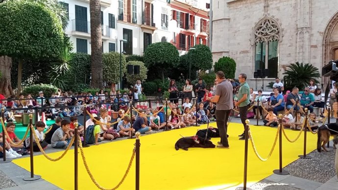 Exhibición de perros guía en el Consolat de Mar.