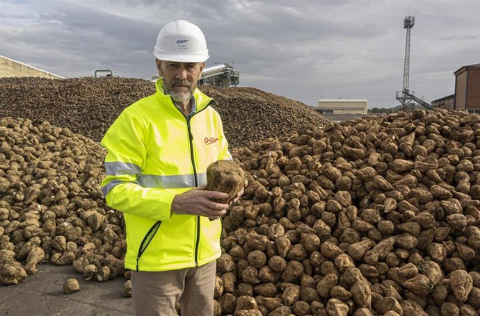 El presidente de ACOR ante un cargamento de remolacha.