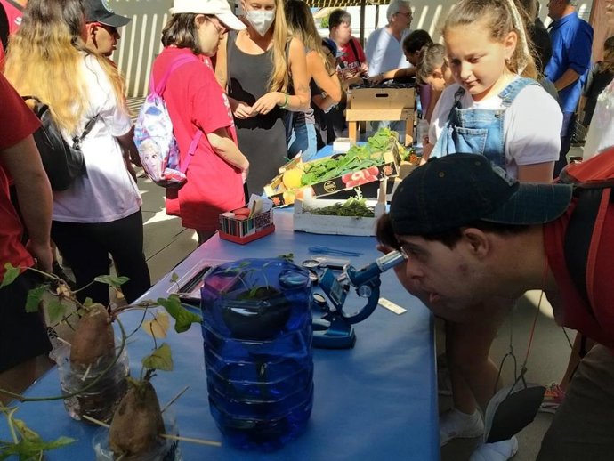 Programa de huertos escolares de Diputación.