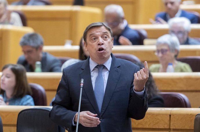 El ministro de Agricultura, Pesca y Alimentación, Luis Planas, interviene en una sesión de control al Gobierno en el Senado 