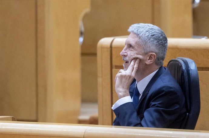 El ministro del Interior, Fernando Grande-Marlaska, en una sesión de control al Gobierno en el Senado
