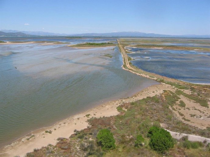 Archivo - El Delta de l'Ebre