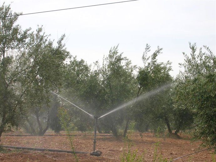 Asaja Granada pide tarifas eléctricas especiales para los regantes