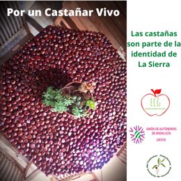 Imagen de la campaña 'Por un castañar vivo'.
