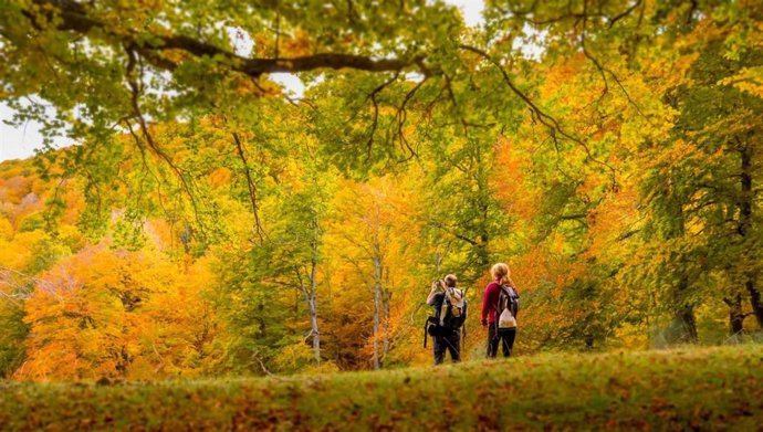 Alto Campoo, salida de Bosques de Cantabria