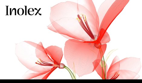 Comunicados Internacional