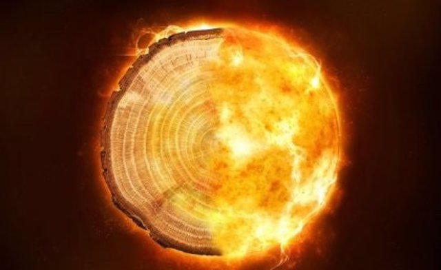 Una imagen compuesta de un anillo de árbol y llamas: los investigadores de la UQ analizaron datos de anillos de árboles para medir eventos cósmicos históricos.