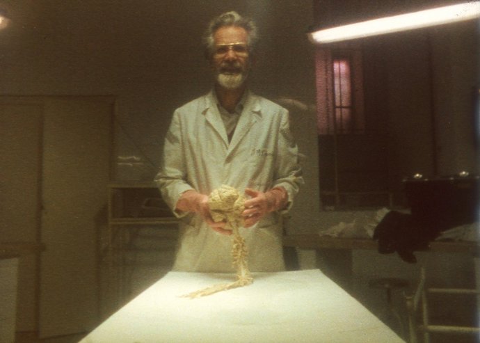 El IVC proyecta en la Filmoteca la restauración digital de Cada ver es...