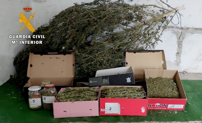 Marihuana intervenida al detenido.