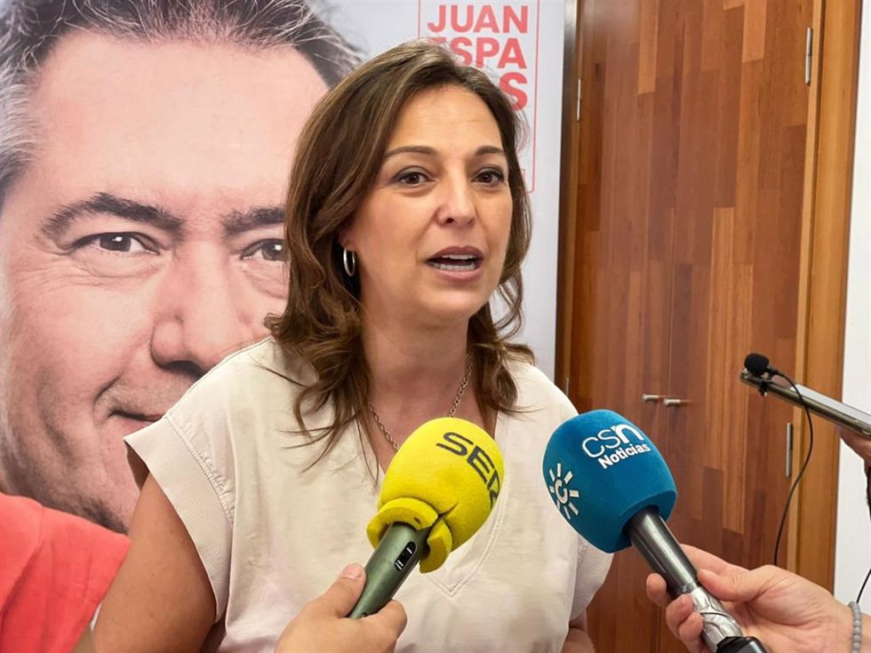 Archivo - La parlamentaria del PSOE-A Isabel Ambrosio, atiende a los medios en una foto de archivo.