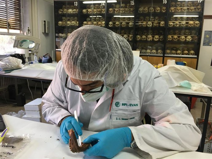 El arqueólogo molecular e investigador de la Universitat de Valncia Domingo Carlos Salazar