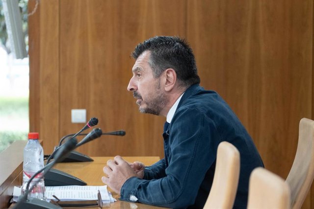 El portavoz parlamentario del PP-A, Toni Martín, en rueda de prensa.