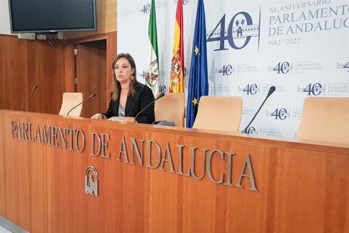 La portavoz del Grupo Socialista en el Parlamento andaluz Isabel Ambrosio, en rueda de prensa.