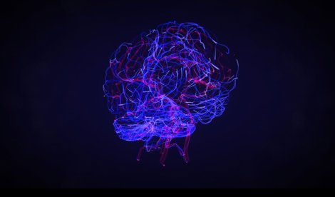 Comunicados Internacional