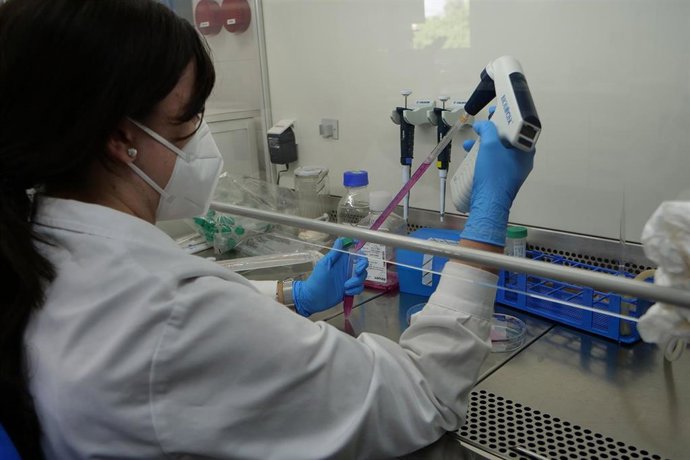 Archivo - Investigadora de la UMA