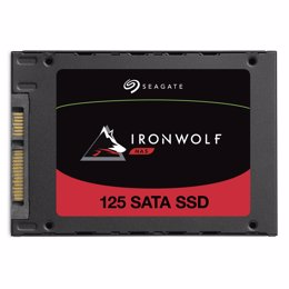 Archivo - IronWolf 125 SSD de Seagate