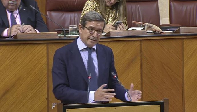 El consejero de Política Industrial y Energía de la Junta de Andalucía, Jorge Paradela, en el Pleno del Parlamento andaluz.