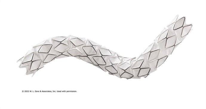 GORE VIABAHN VBX Balloon Expandable Endoprosthesis