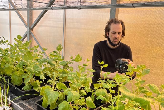El artista Carlos Castellanos durante su residencia en uno de los invernaderos del Instituto de Biología Molecular y Celular de Plantas (IBMCP, CSIC-UPV).