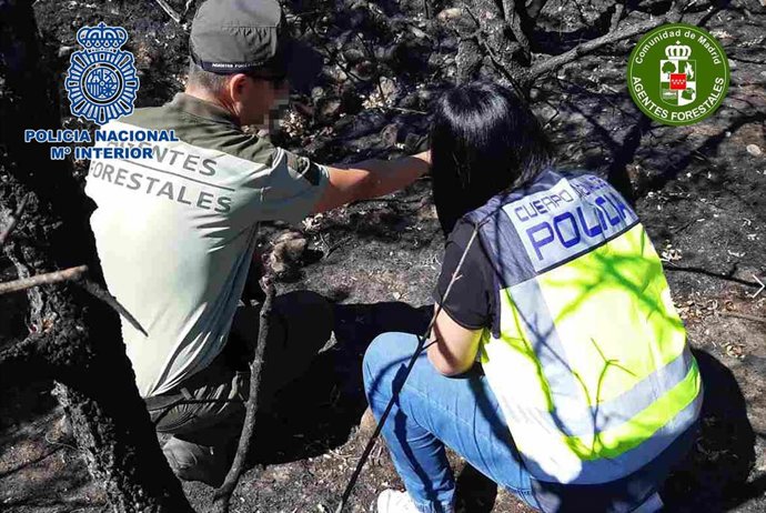 Detenido un hombre por provocar seis incendios cerca de Pinilla del Valle en los últimos 8 años