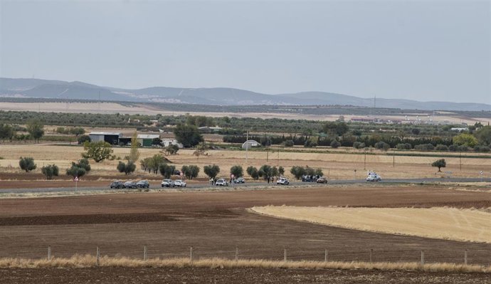 Vista de coches policiales en la carretera de Argamasilla de Calatrava tras el tiroteo.