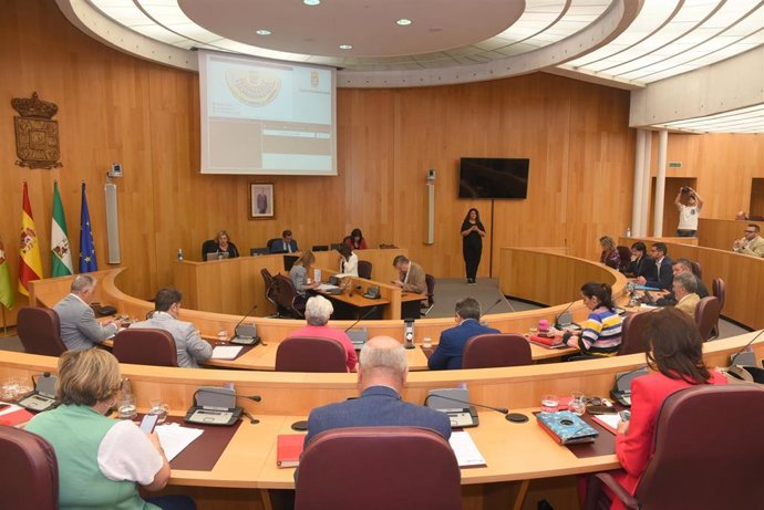Pleno de la Diputación de Granada.