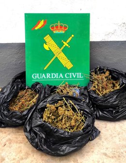 Marihuana intervenida por la Guardia Civil
