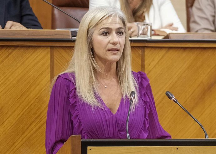 La consejera de Desarrollo Educativo, Patricia del Pozo, en el Pleno del Parlamento, en foto de archivo.