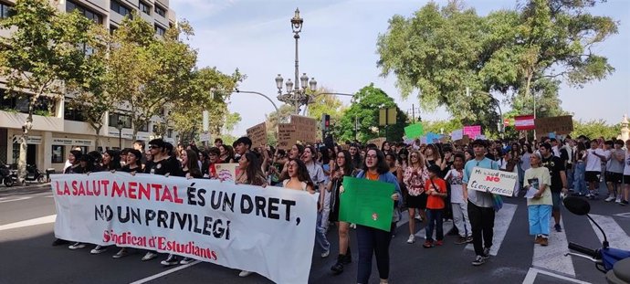 Estudiantes de educación secundaria y universitarios se manifiestan en Valncia en una protesta convocada por el Sindicato de Estudiantes (SE).