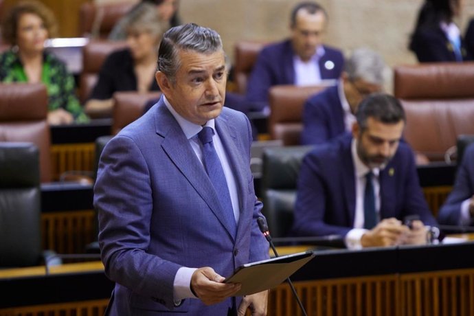 El consejero de la Presidencia, Interior, Diálogo Social y Simplificación Administrativa, Antonio Sanz, en el Pleno del Parlamento andaluz.
