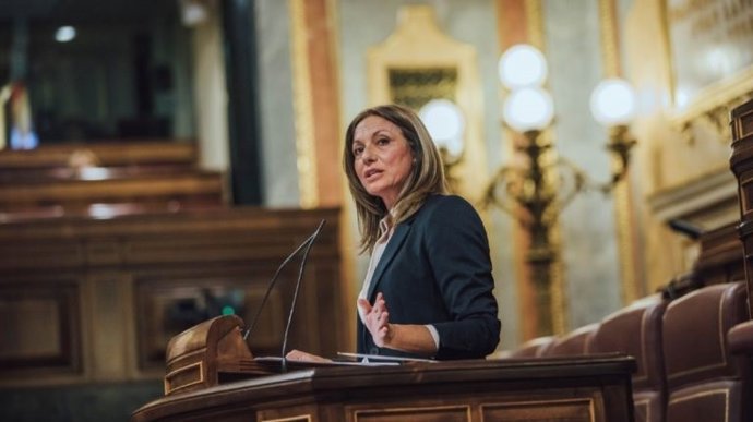 La diputada de Vox por Sevilla, Reyes Romero, en el Congreso.